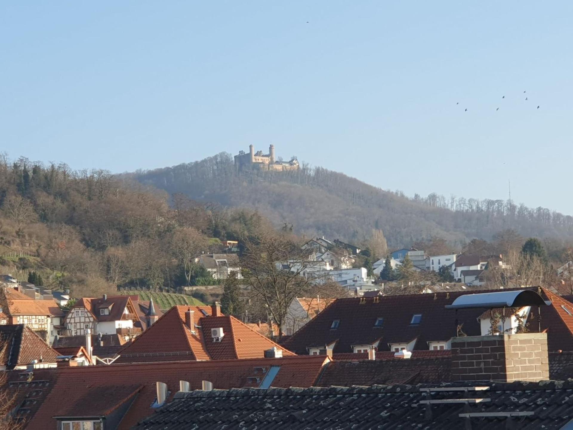 Abm Apartment Haus Zwingenberg  외부 사진